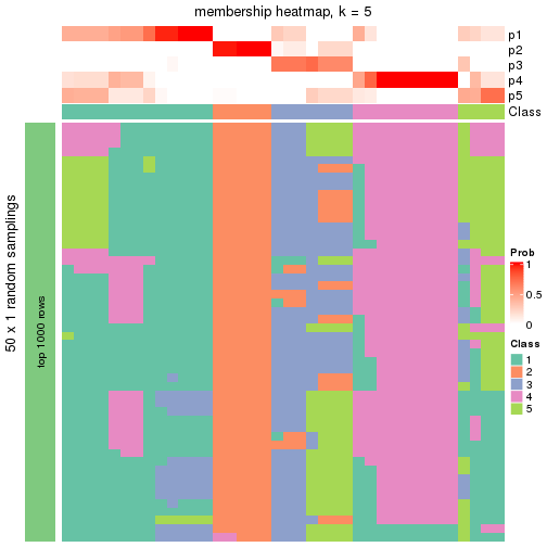 plot of chunk tab-node-011-membership-heatmap-4