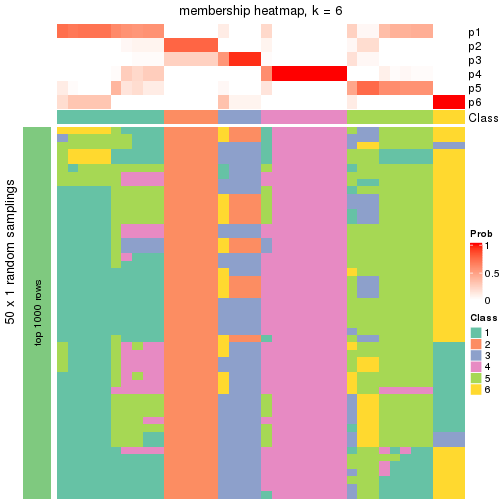 plot of chunk tab-node-011-membership-heatmap-5