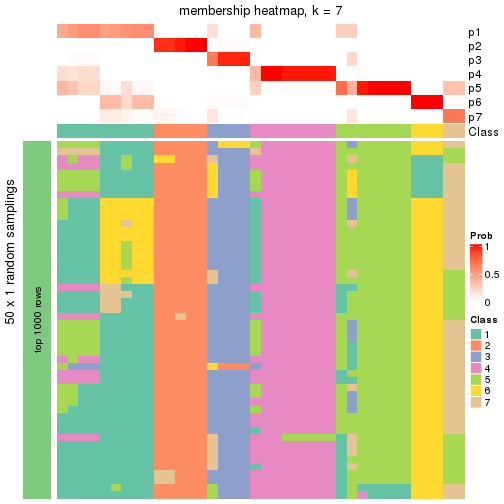 plot of chunk tab-node-011-membership-heatmap-6