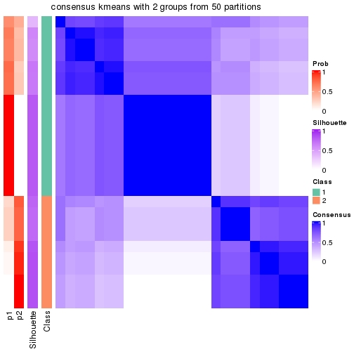 plot of chunk tab-node-0111-consensus-heatmap-1