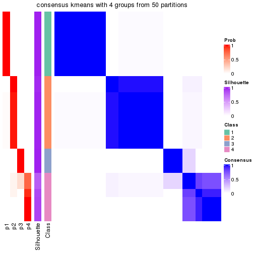 plot of chunk tab-node-0111-consensus-heatmap-3