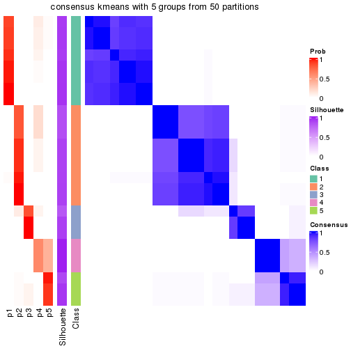 plot of chunk tab-node-0111-consensus-heatmap-4