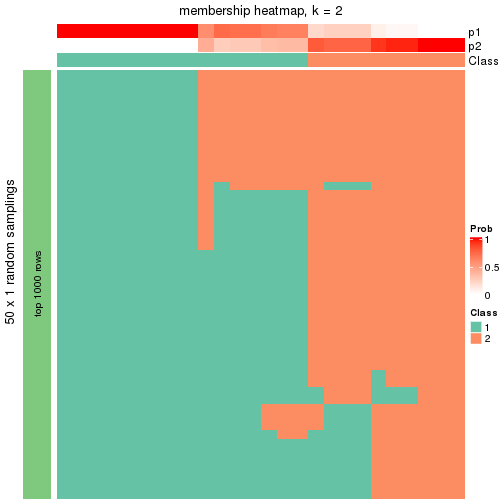 plot of chunk tab-node-0111-membership-heatmap-1