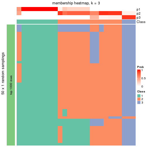 plot of chunk tab-node-0111-membership-heatmap-2