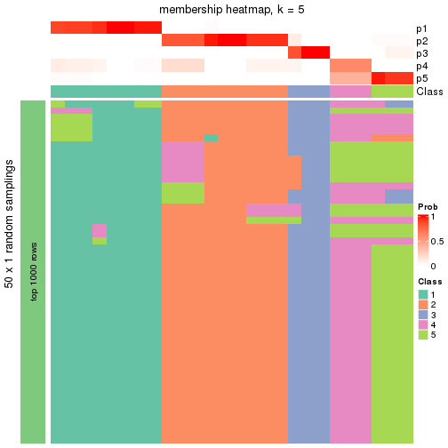 plot of chunk tab-node-0111-membership-heatmap-4