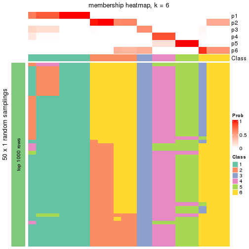 plot of chunk tab-node-0111-membership-heatmap-5