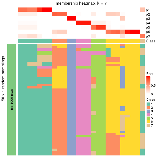 plot of chunk tab-node-0111-membership-heatmap-6