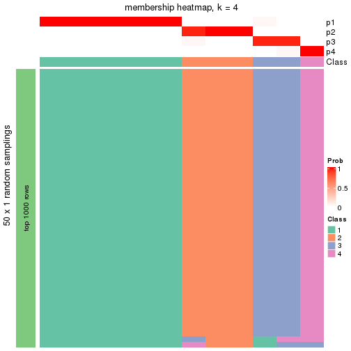 plot of chunk tab-node-0112-membership-heatmap-3