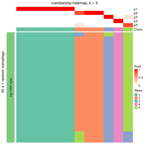 plot of chunk tab-node-0112-membership-heatmap-4