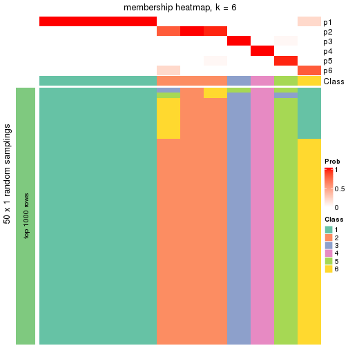 plot of chunk tab-node-0112-membership-heatmap-5