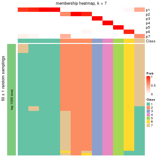 plot of chunk tab-node-0112-membership-heatmap-6