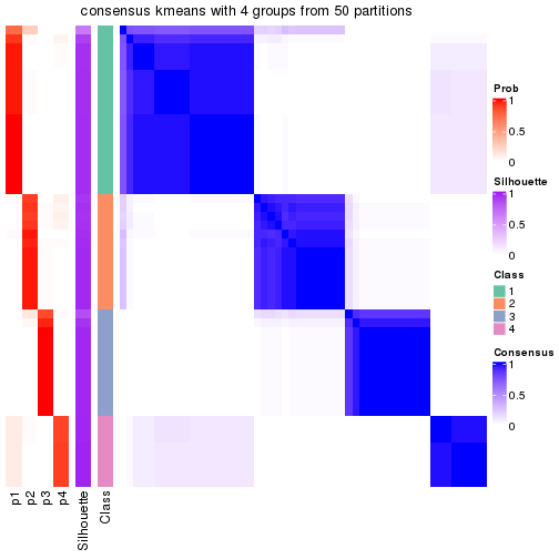 plot of chunk tab-node-02-consensus-heatmap-3