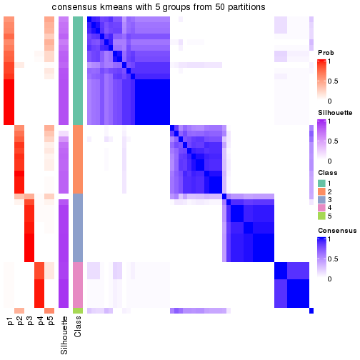 plot of chunk tab-node-02-consensus-heatmap-4