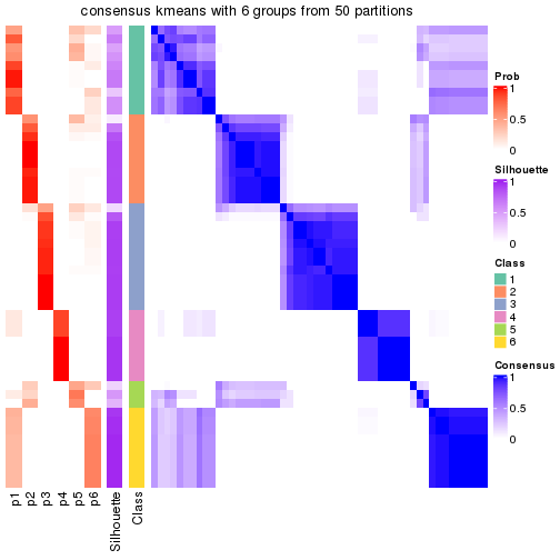 plot of chunk tab-node-02-consensus-heatmap-5