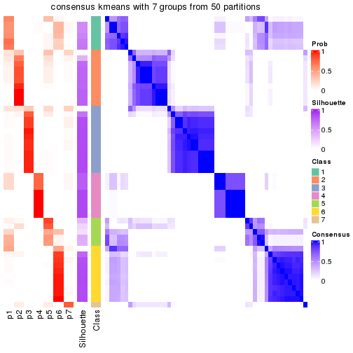 plot of chunk tab-node-02-consensus-heatmap-6