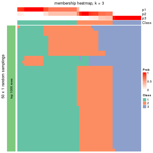 plot of chunk tab-node-02-membership-heatmap-2