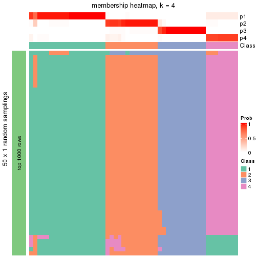 plot of chunk tab-node-02-membership-heatmap-3