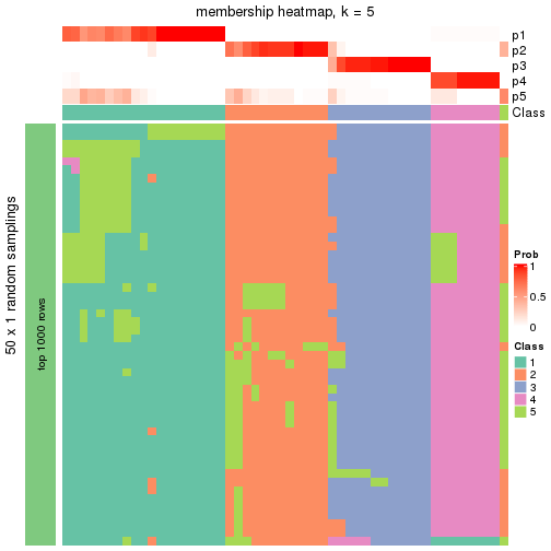 plot of chunk tab-node-02-membership-heatmap-4