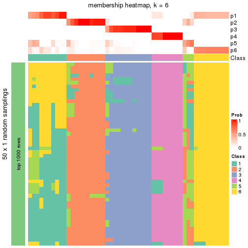 plot of chunk tab-node-02-membership-heatmap-5