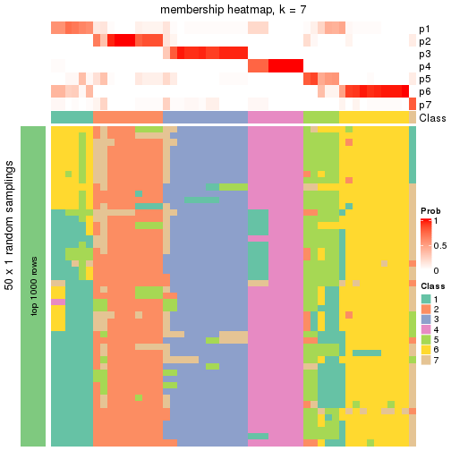 plot of chunk tab-node-02-membership-heatmap-6