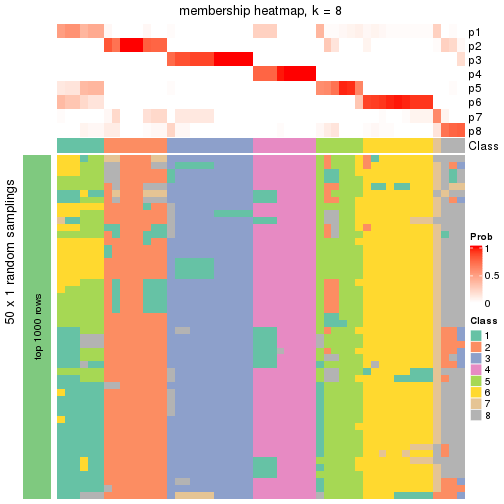 plot of chunk tab-node-02-membership-heatmap-7