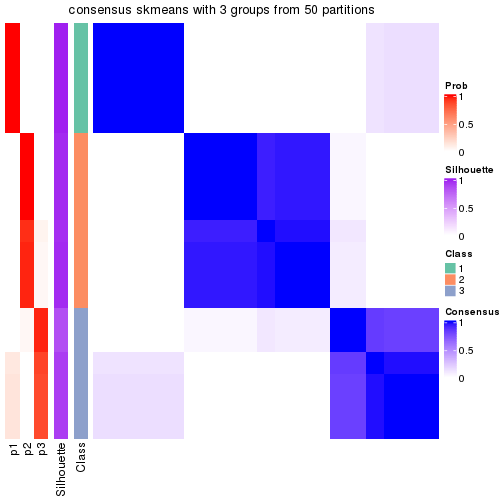 plot of chunk tab-node-021-consensus-heatmap-2