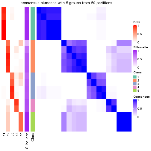 plot of chunk tab-node-021-consensus-heatmap-4