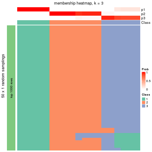 plot of chunk tab-node-021-membership-heatmap-2