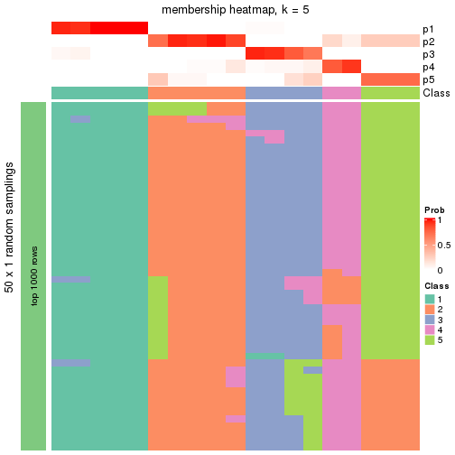 plot of chunk tab-node-021-membership-heatmap-4