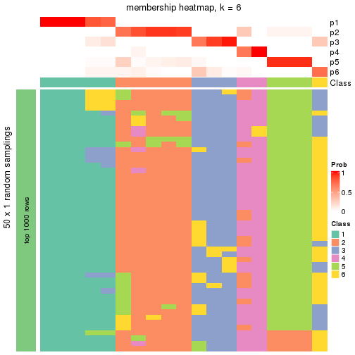 plot of chunk tab-node-021-membership-heatmap-5