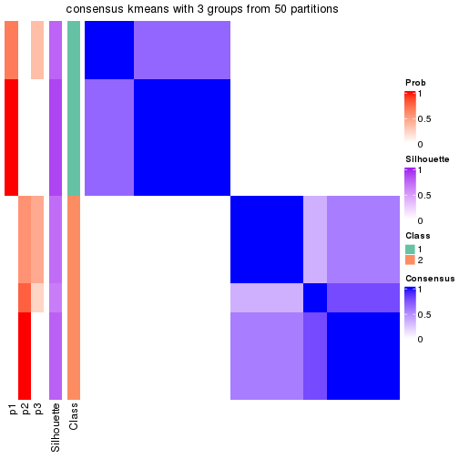 plot of chunk tab-node-022-consensus-heatmap-2