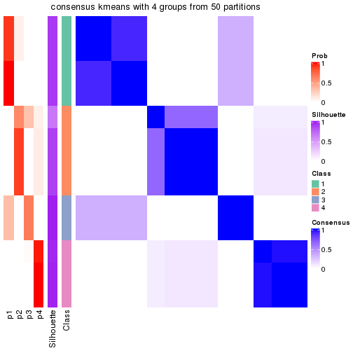 plot of chunk tab-node-022-consensus-heatmap-3