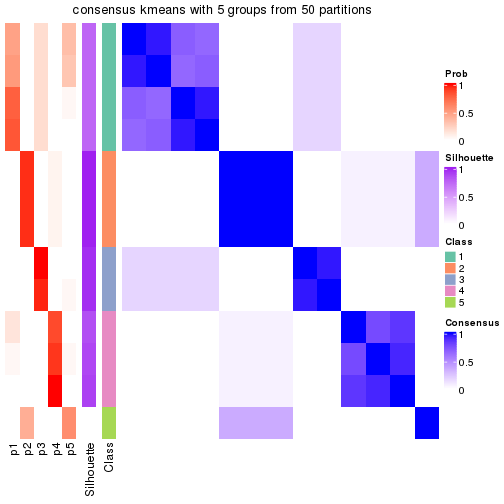 plot of chunk tab-node-022-consensus-heatmap-4