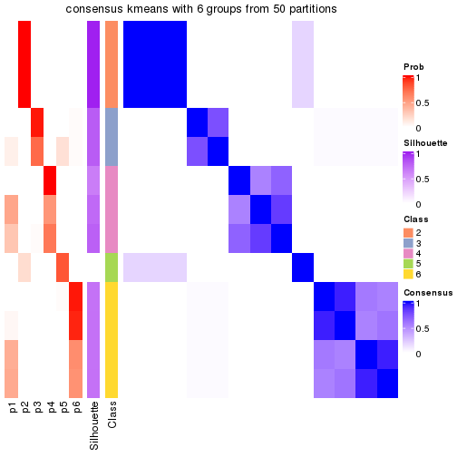 plot of chunk tab-node-022-consensus-heatmap-5