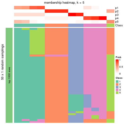 plot of chunk tab-node-022-membership-heatmap-4