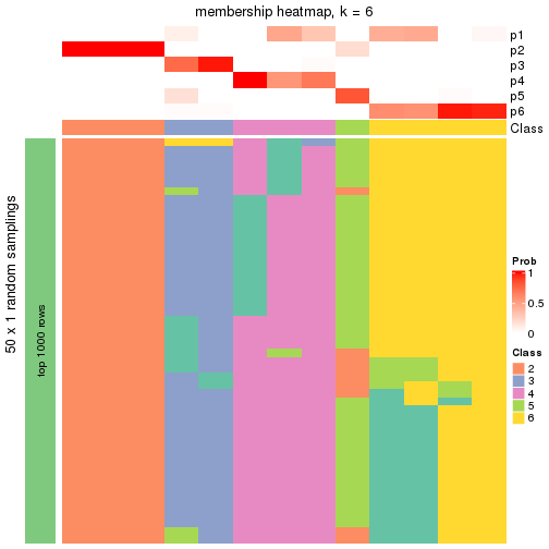 plot of chunk tab-node-022-membership-heatmap-5