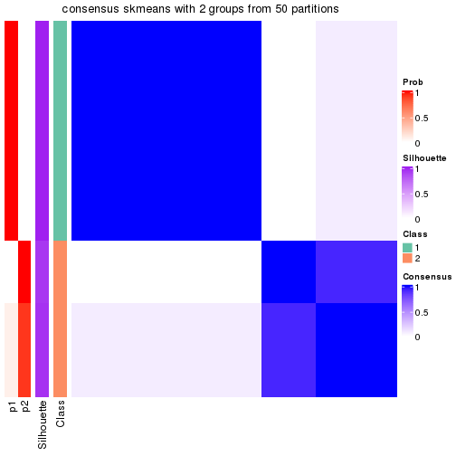 plot of chunk tab-node-023-consensus-heatmap-1