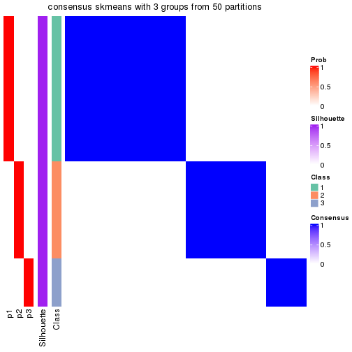 plot of chunk tab-node-023-consensus-heatmap-2