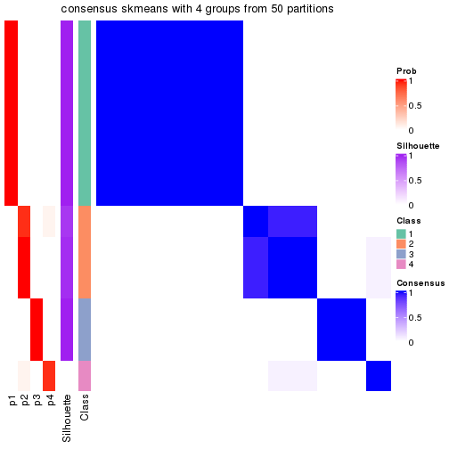 plot of chunk tab-node-023-consensus-heatmap-3