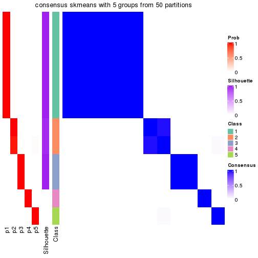 plot of chunk tab-node-023-consensus-heatmap-4