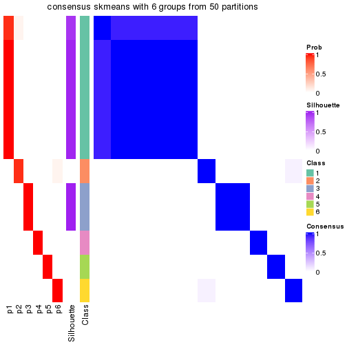 plot of chunk tab-node-023-consensus-heatmap-5