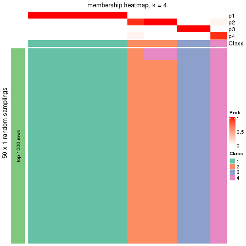 plot of chunk tab-node-023-membership-heatmap-3