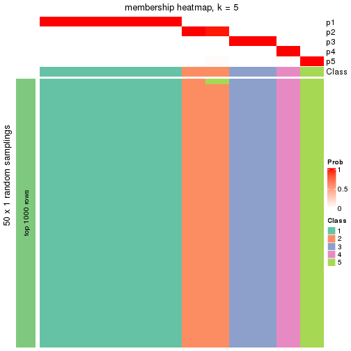 plot of chunk tab-node-023-membership-heatmap-4