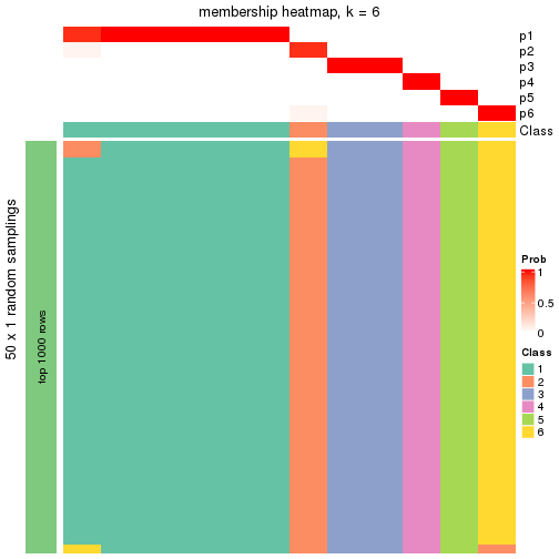 plot of chunk tab-node-023-membership-heatmap-5