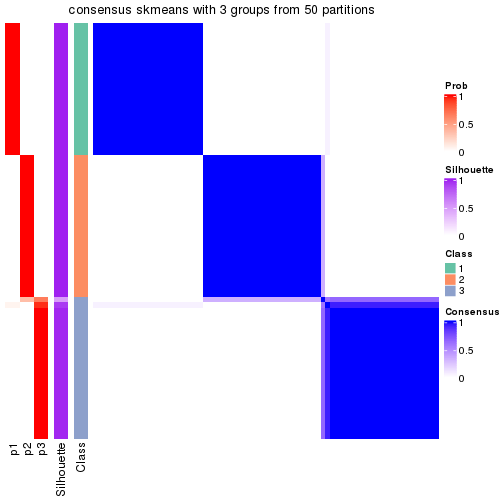 plot of chunk tab-node-03-consensus-heatmap-2