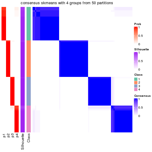 plot of chunk tab-node-03-consensus-heatmap-3