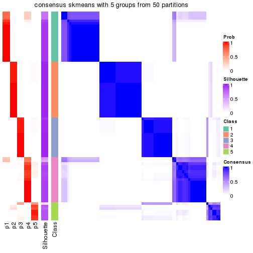 plot of chunk tab-node-03-consensus-heatmap-4