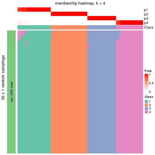 plot of chunk tab-node-03-membership-heatmap-3