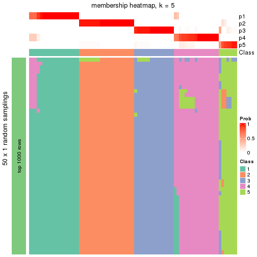 plot of chunk tab-node-03-membership-heatmap-4