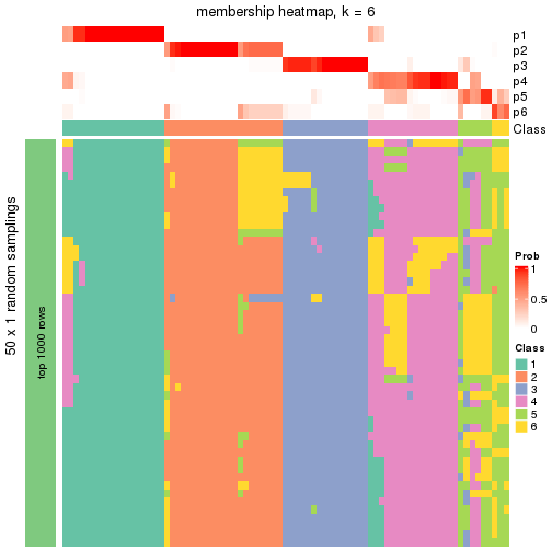 plot of chunk tab-node-03-membership-heatmap-5